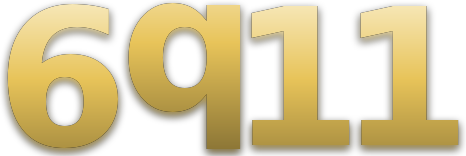 6q11 logo